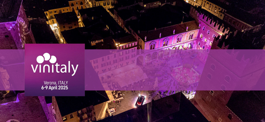 Vinitaly 2025: cosa ci aspettiamo (e cosa dovrebbe interessare davvero agli operatori HoReCa)