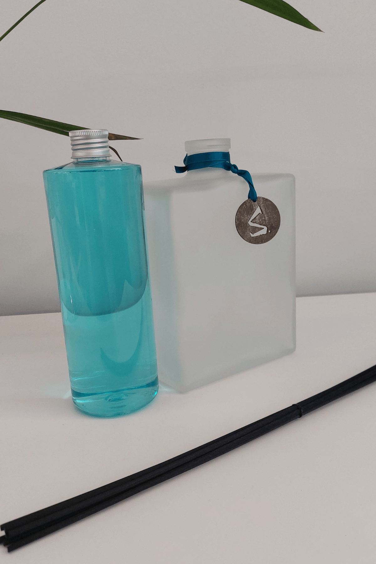 Salina Profumo da Ambiente Confezione Light 500ml Singularity