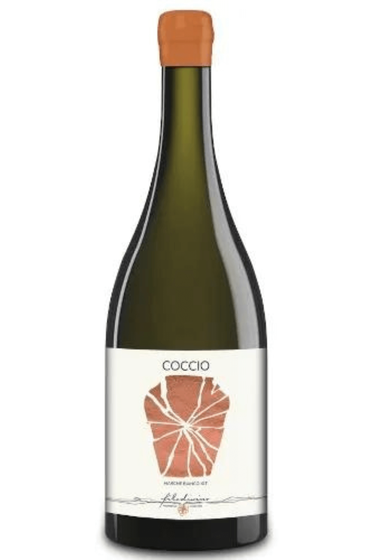 Ecchio Marche Bianco IGT 2021 - Filodivino