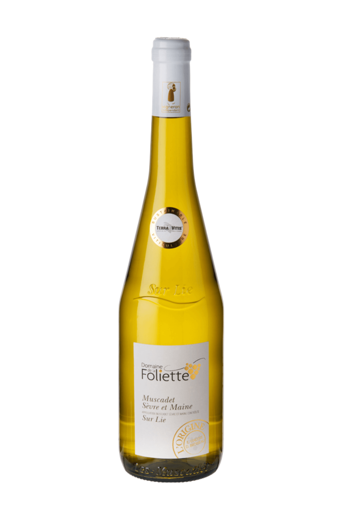 "L'Origine" Muscadet Sevre et Maine Sur Lie AOP 2023 Domaine de La Foliette