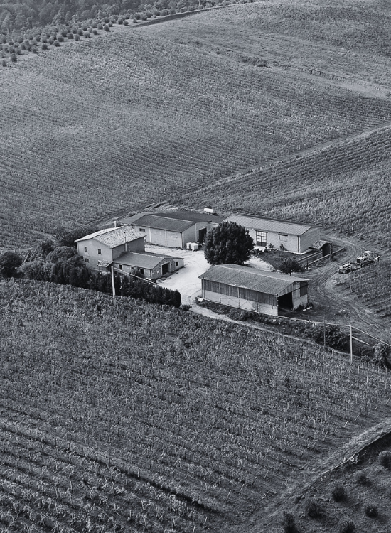 TENUTA ROCCACCIA