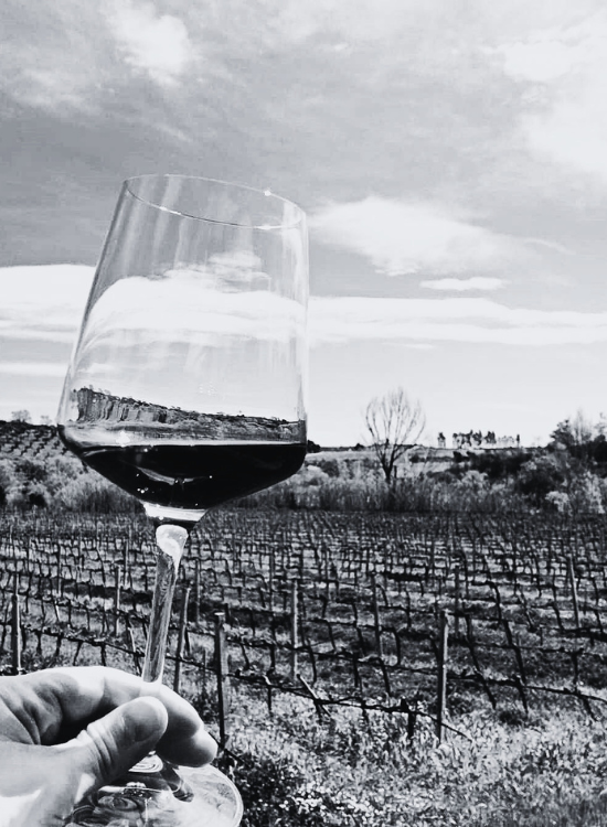 DELL'AQUILA VINI