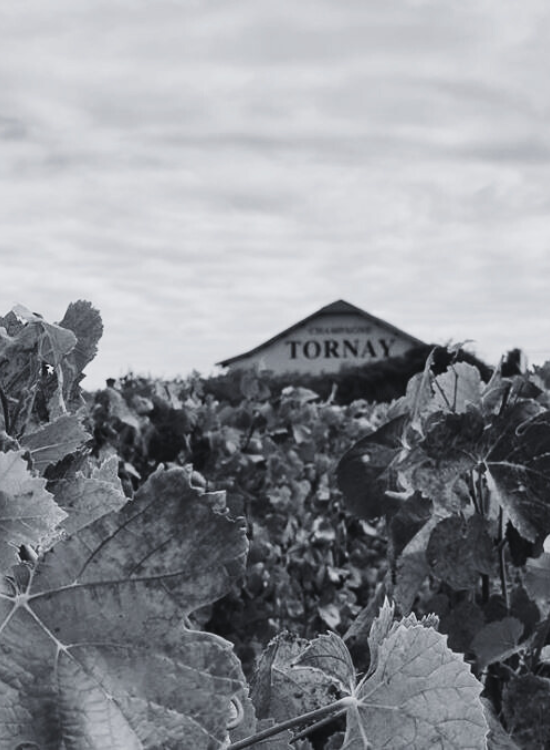 BERNARD TORNAY