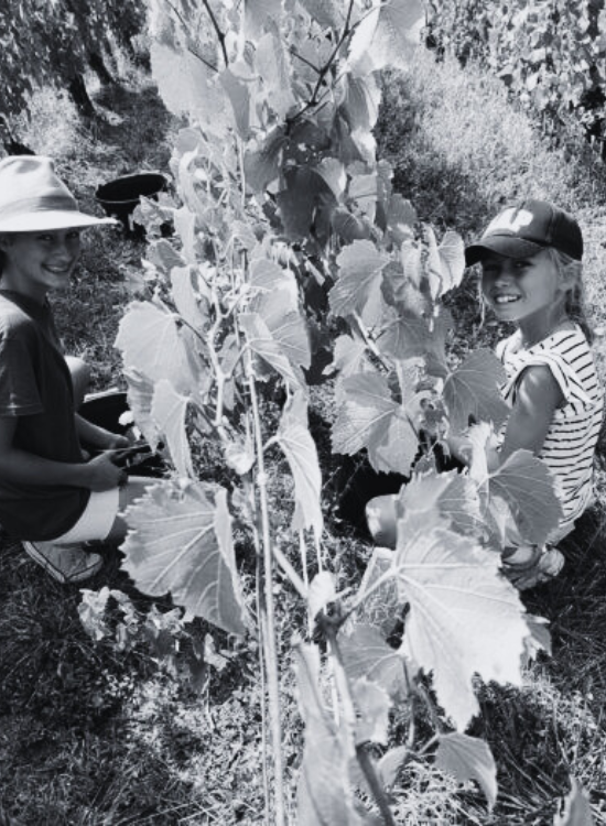 DOMAINE DE SAINTE MARIE