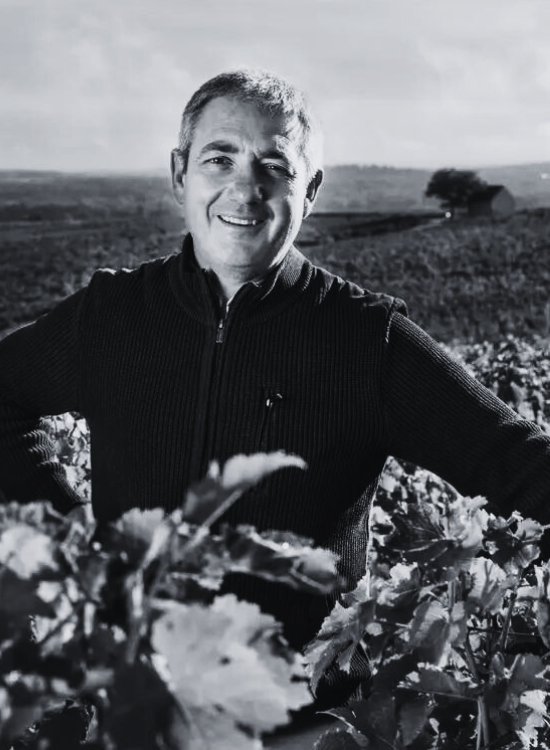 DOMAINE ERIC LOUIS