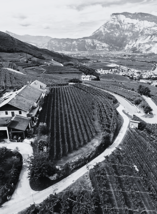 VILLA PICCOLA