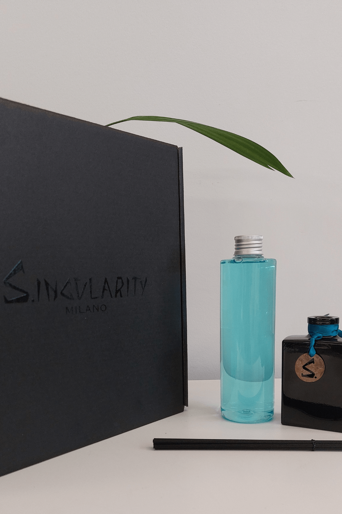 Salina Profumo da Ambiente Confezione Dark 250ml Singularity