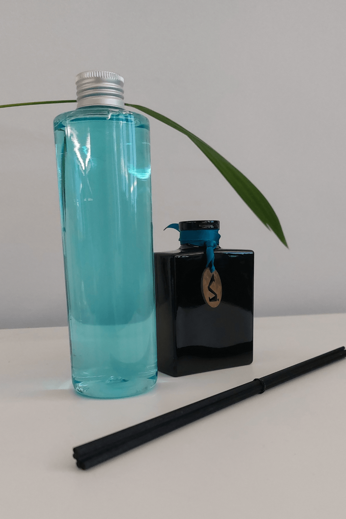 Salina Profumo da Ambiente Confezione Dark 250ml Singularity