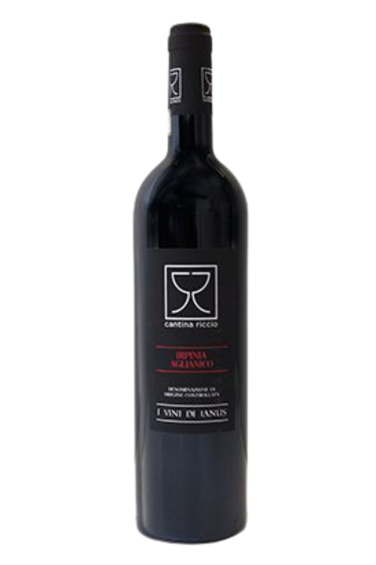 Irpinia Aglianico Doc 2019 - Cellar Riccio