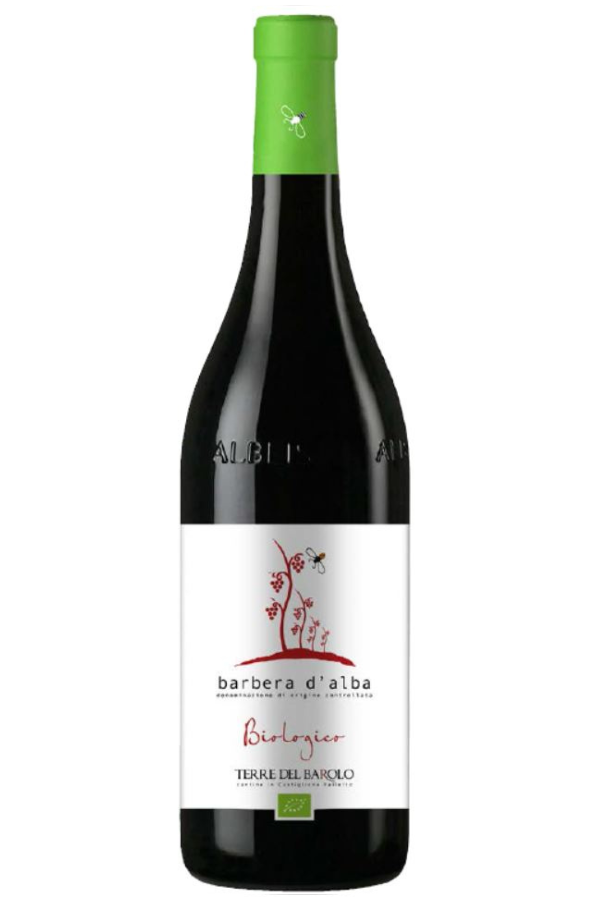 Barbera d'Alba Doc 2018 Bio* - Terre del Barolo