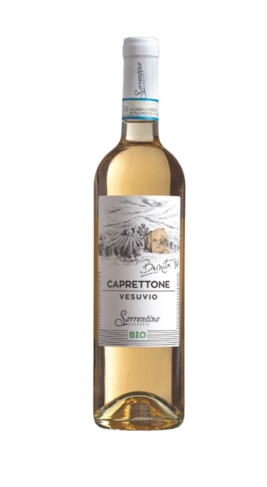 "Benita 31" Capitone Vesuvio Doc 2022 Bio* - Sorrentino Vini