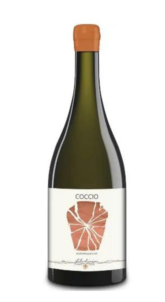 Coccio Marche Bianco IGT 2021 Filodivino