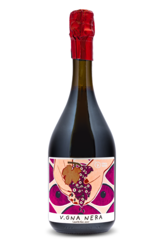 Vineyard negro Lambrusco Emilia PGI 2022 - Fangarggi