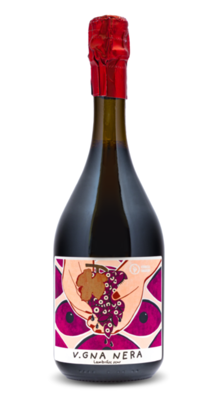 Vineyard negro Lambrusco Emilia PGI 2022 - Fangarggi